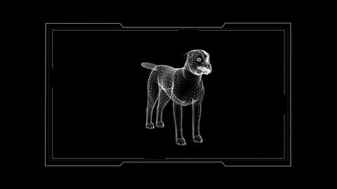 Digital Wireframe 3D Model of a Dog on Black Background Canvas Vídeos de archivo 343035592