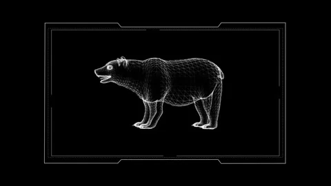 Digital Wireframe Art of Bear in Futuristic Geometric Style Display Stock Footage 342249044