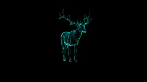Digital Wireframe Artwork of Majestic Deer with Antlers on Black Background Stock Footage 342249042