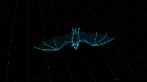 Digital Wireframe of a Bat in a Futuristic Virtual Grid Environment 库存影片 342375913