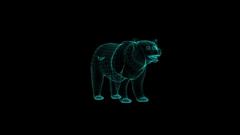 Digital Wireframe Bear Illustration in Blue Neon on Black Background Stock Footage 342248922