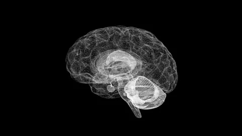 Digital Wireframe Brain: Technology Visualization in Monochrome Art Stock Footage 341778589