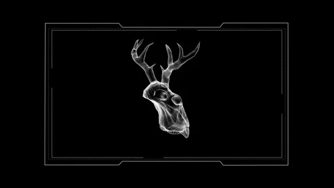 Digital Wireframe of Cervid Skull with Majestic Antlers in Futuristic Style 库存影片 343222192