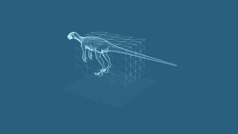 Digital wireframe of dinosaur skeleton showcasing virtual dinosaur model an.. 库存影片 342376097