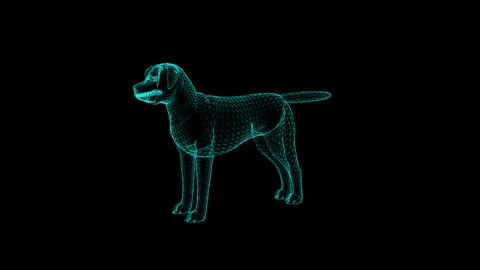 Digital Wireframe Dog in 3D Holographic Style on Black Background Exploration 库存影片 343036059