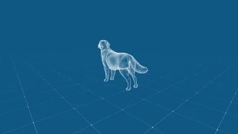 Digital Wireframe Dog in Futuristic Virtual Grid Landscape Art Scene Stock Footage 341377298