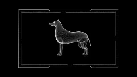 Digital Wireframe Dog in Virtual Reality Design on Black Background 库存影片 342316022
