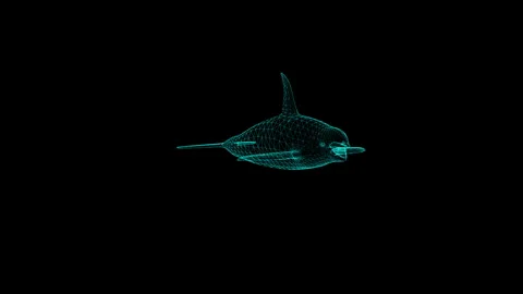Digital Wireframe Dolphin Swimming Imagery in a Deep Black Background Stock Footage 342248574