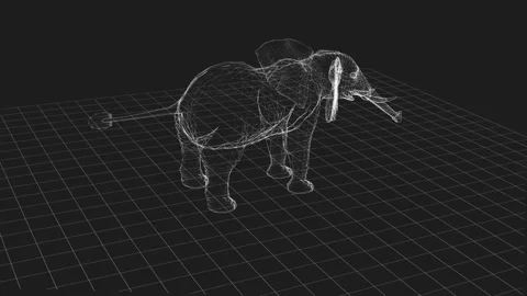 Digital Wireframe Elephant Exhibiting Geometric Artistic Design in Monochro.. Stock Footage 342248398