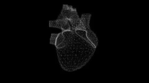 Digital Wireframe Heart on Black Background for Medical Visualizations and .. Stock Footage 341778571