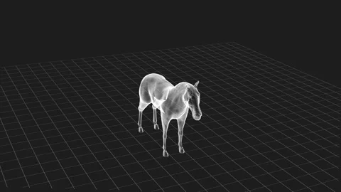 Digital Wireframe Horse in a Virtual Space with Grid Background Stock Footage 343591467