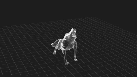 Digital Wireframe of Howling Wolf in Black 3D Grid Environment 库存影片 343639699