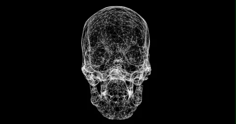 A digital wireframe human skull rotates from a right profile through a front Stock Footage 338015351
