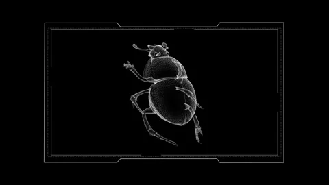 Digital Wireframe Illustration of a Detailed Beetle with a Futuristic Artis.. 库存影片 342781510