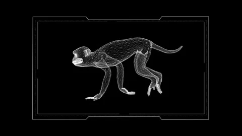 Digital Wireframe Illustration of a Monkey in Motion on Black Background 库存影片 342315932