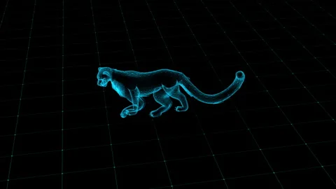 Digital Wireframe Leopard: Futuristic 3D Grid Design in Blue Light 库存影片 342316153