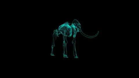 Digital Wireframe Mammoth Skeleton on Black Background with Neon Glow 库存影片 342315704