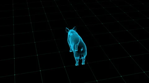 Digital Wireframe Pig on Grid Background in a Virtual Reality Environment Stock Footage 342377146