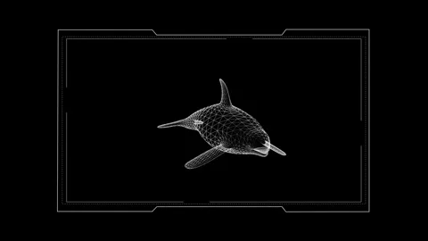 Digital Wireframe Rendering of a Whale on Black Background, Conceptual Art .. 库存影片 343119603