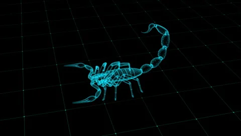 Digital Wireframe Scorpion in Futuristic Grid Design 库存影片 344032625