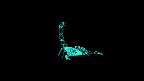 Digital Wireframe of Scorpion with Glowing Blue on Black Background 库存影片 344032605