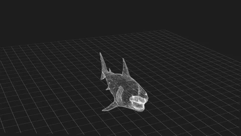 Digital Wireframe of a Shark in a Virtual 3D Grid Environment Video stock 343640708