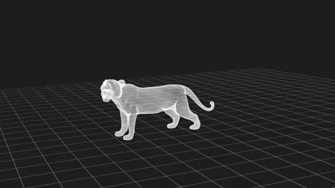 Digital Wireframe Tiger in 3D Space: A Modern Exploration of Geometry and I.. Stock Footage 342245397