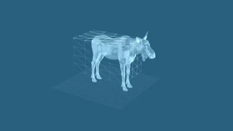 Digital Wireframe of Transparent Moose in 3D Design Environment on Blue Bac.. Stock Footage 343591215