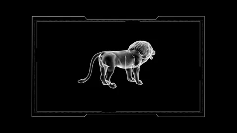 Digital X-Ray Lion Art: A Futuristic and Mystical Animal Representation 库存影片 344032446