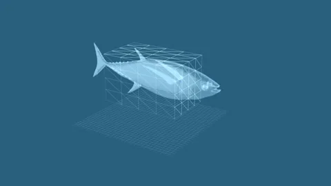 Digital X-Ray Visualization of Fish Anatomy in a Grid Structure Render 스톡 동영상 343863024