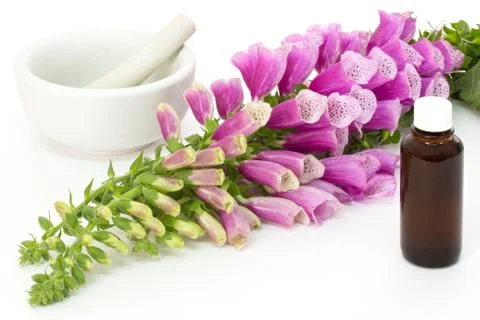 Digitalis with cardiac drops Foto stock