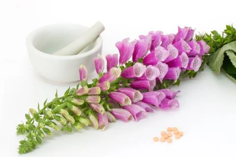 Digitalis with pills Foto stock