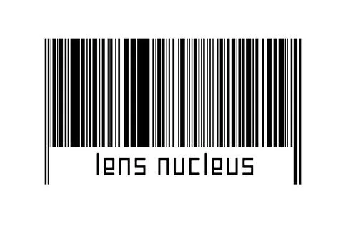 Digitalization concept. Barcode of black horizontal lines with inscription le Stock Illustration