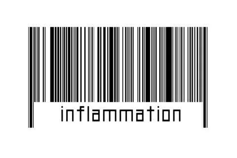 Digitalization concept. Barcode of black horizontal lines with inscription in Illustrazione stock