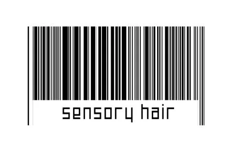 Digitalization concept. Barcode of black horizontal lines with inscription se Stock Illustration