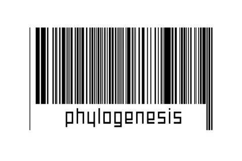 Digitalization concept. Barcode of black horizontal lines with inscription ph イラスト素材