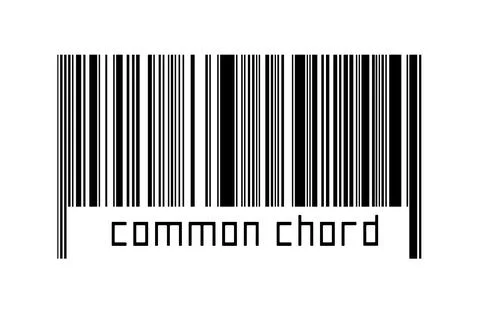 Digitalization concept. Barcode of black horizontal lines with inscription co Illustrazione stock