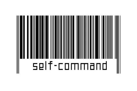 Digitalization concept. Barcode of black horizontal lines with inscription se イラスト素材