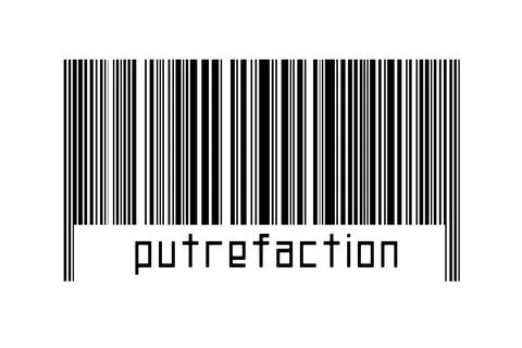 Digitalization concept. Barcode of black horizontal lines with inscription pu Stock Illustration
