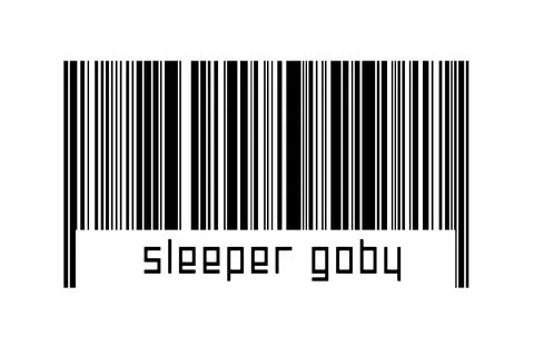 Digitalization concept. Barcode of black horizontal lines with inscription sl Stock Illustration