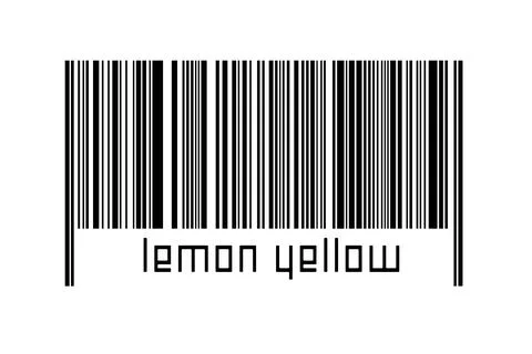 Digitalization concept. Barcode of black horizontal lines with inscription le Illustrazione stock