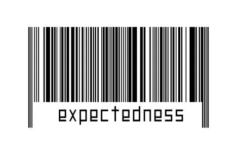 Digitalization concept. Barcode of black horizontal lines with inscription ex Illustrazione stock