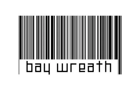 Digitalization concept. Barcode of black horizontal lines with inscription ba Stock Illustration