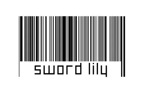 Digitalization concept. Barcode of black horizontal lines with inscription sw Illustrazione stock