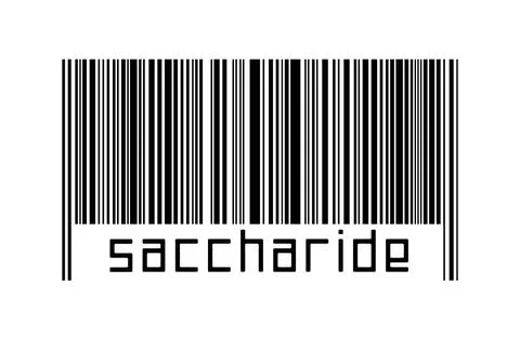 Digitalization concept. Barcode of black horizontal lines with inscription sa イラスト素材