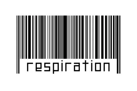 Digitalization concept. Barcode of black horizontal lines with inscription re 스톡 일러스트