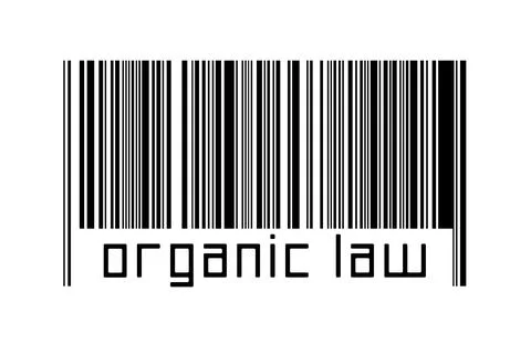 Digitalization concept. Barcode of black horizontal lines with inscription or イラスト素材