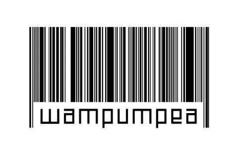 Digitalization concept. Barcode of black horizontal lines with inscription wa Stock Illustration
