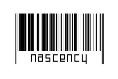 Digitalization concept. Barcode of black horizontal lines with inscription na Illustrazione stock