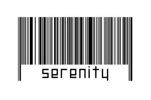 Digitalization concept. Barcode of black horizontal lines with inscription se Stock Illustration